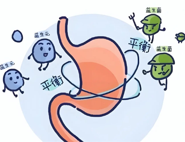 益生菌一天吃几次、用量多少？正规品牌剂量解析，科学补充不伤肠胃