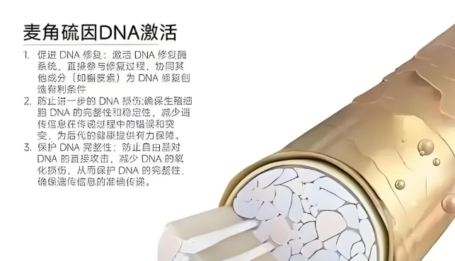 麦角硫因哪个牌子的效果好？全球十大麦角硫因排名，内服改善气色暗沉、面部憔悴的初老状态