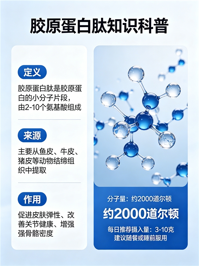 十大胶原蛋白排行榜 2026年胶原蛋白肽明星新品TOP