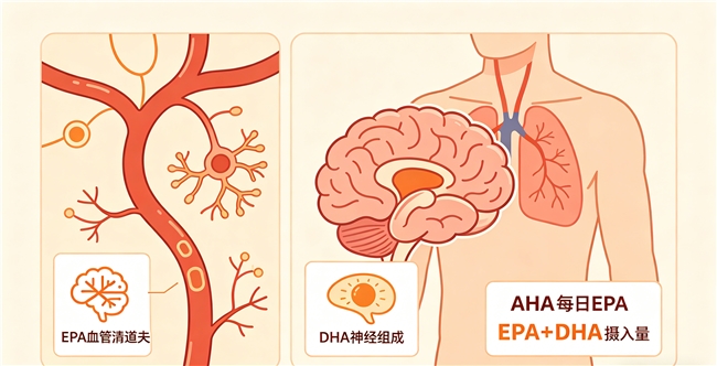 鱼油胶囊品牌排名 2026年高纯EPA鱼油选购终极宝典:怎么挑不踩坑?谁家更适配国人真实需求? 鱼油胶囊品牌排名 2026年高纯EPA鱼油选购终极宝典:怎么挑不踩坑?谁家更适配国人真实需求?