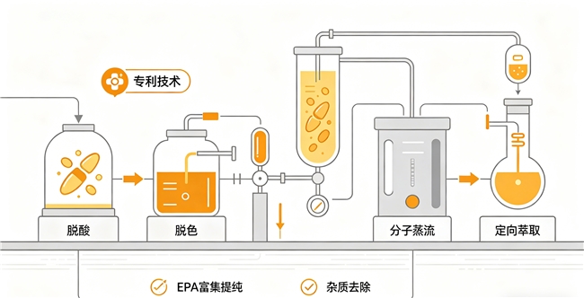 全球鱼油十大品牌排行榜 2026年高纯EPA鱼油精选榜｜心血管养护人群必看