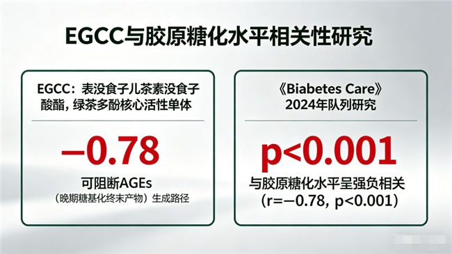 胶原蛋白品牌排行榜10强 2026年十大胶原肽实测榜：谁真能补进真皮层？