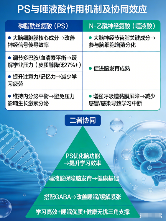 企业微信截图_17743396191561.png