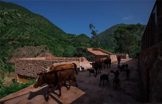 于土地中生筑，于文脉里新生：五例在地设计的温柔建造