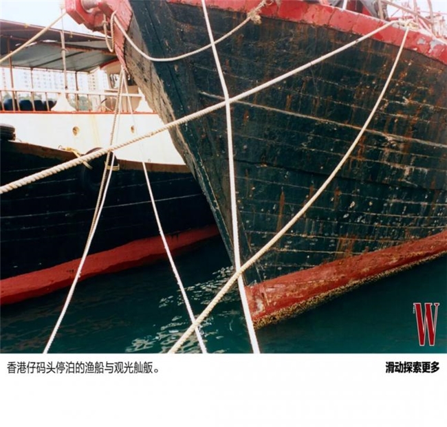 不追主义，只画生活，张恩利的安静艺术修行