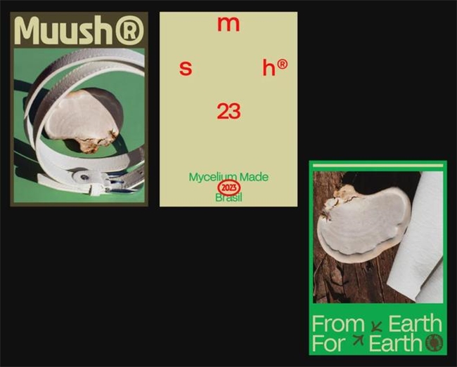 野性拉满！南美设计师的高饱和撞色与故障美学