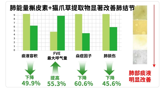 槲皮素哪个牌子好？2026槲皮素产品推荐精准养护肺部高效解决呼吸不畅难题(图4)