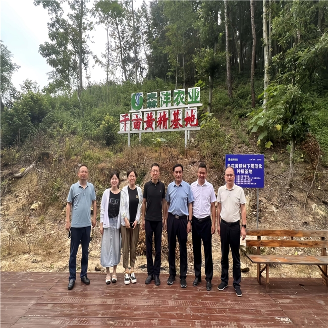 别再乱吃黄精了!旺复堂教你一眼辨正宗九蒸九晒 别再乱吃黄精了!旺复堂教你一眼辨正宗九蒸九晒