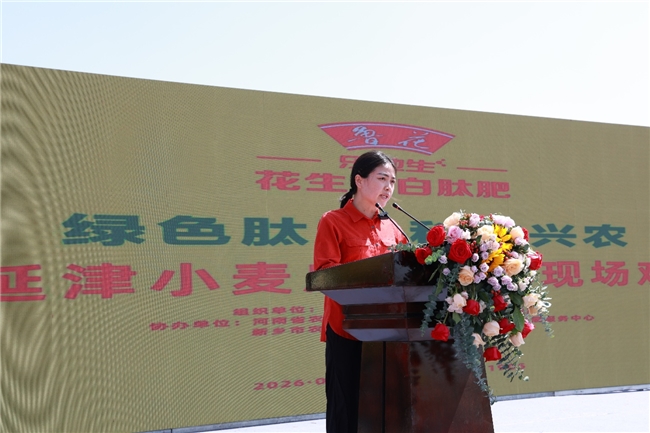鲁花花生肽肥“一肥六效”诠释农业新质生产力——鲁花花生蛋白肽肥小麦应用技术现场观摩交流会观察