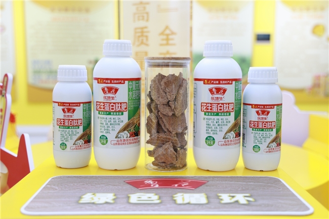 鲁花花生肽肥“一肥六效”诠释农业新质生产力——鲁花花生蛋白肽肥小麦应用技术现场观摩交流会观察