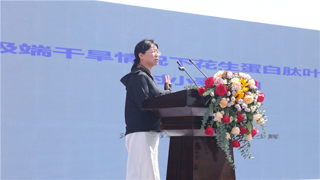 鲁花花生肽肥“一肥六效”诠释农业新质生产力——鲁花花生蛋白肽肥小麦应用技术现场观摩交流会观察