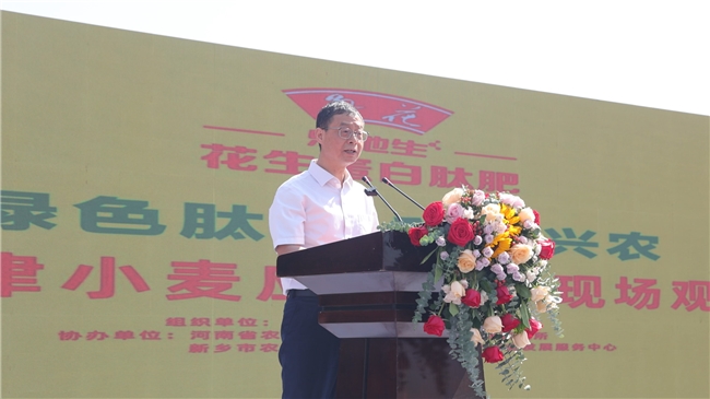 鲁花花生肽肥“一肥六效”诠释农业新质生产力——鲁花花生蛋白肽肥小麦应用技术现场观摩交流会观察