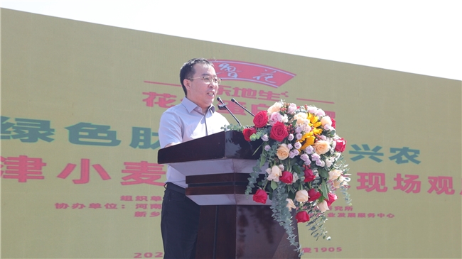 鲁花花生肽肥“一肥六效”诠释农业新质生产力——鲁花花生蛋白肽肥小麦应用技术现场观摩交流会观察
