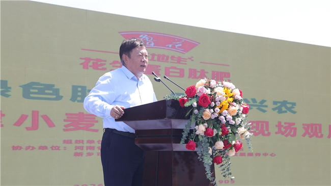 鲁花花生肽肥“一肥六效”诠释农业新质生产力——鲁花花生蛋白肽肥小麦应用技术现场观摩交流会观察