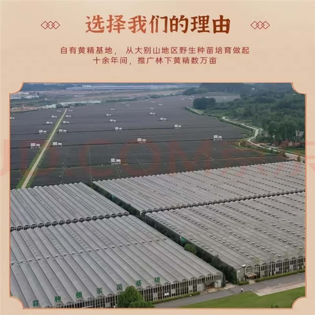 有机黄精哪个牌子的好？黄精深加工新品 2026 盘点！丰富消费选择空间