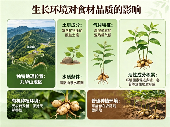 热门黄精品牌优缺点盘点｜真实测评无广，帮你精准适配需求