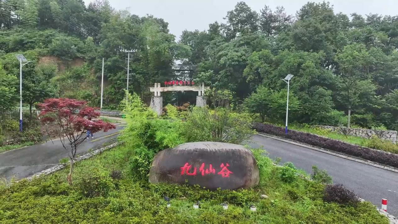 618滋补市场整体降温,为何斛妈妈销量逆势暴涨?