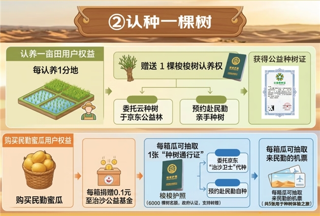 我在沙漠种下一块瓜田：京东生鲜推出“认养一亩瓜田”，24小时慢直播陪你“云养瓜”