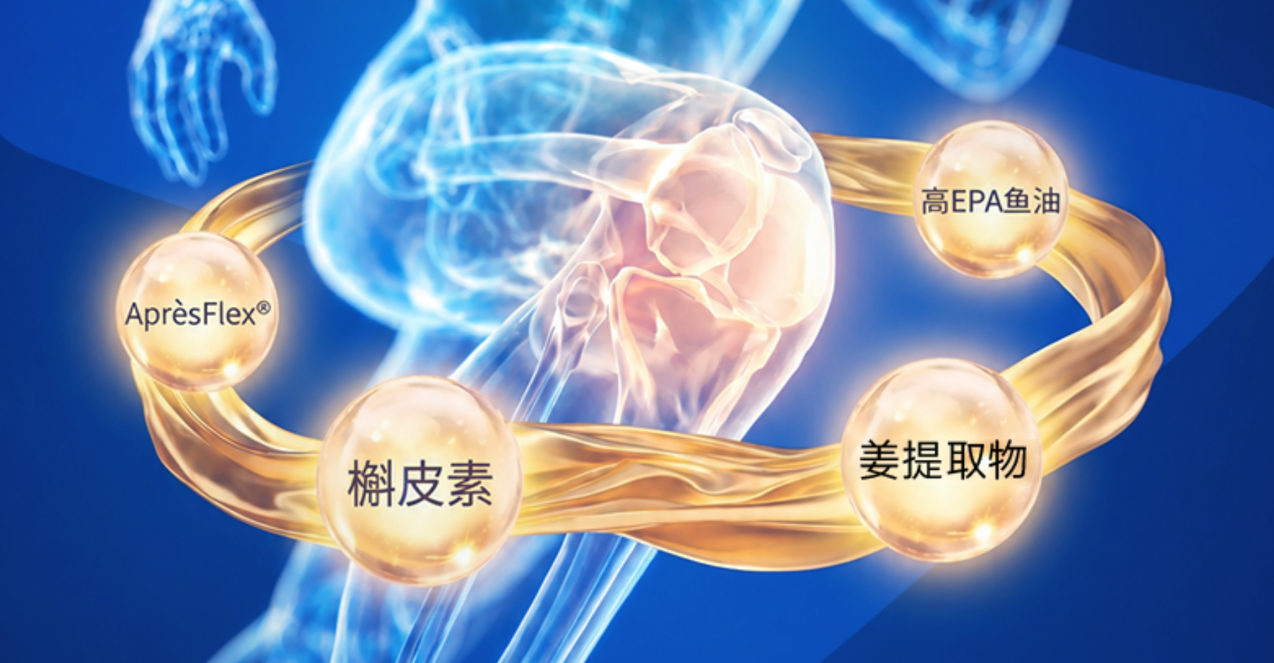 图2.png
