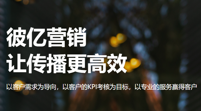 专业SEO优化公司怎么挑？预算打水漂后的复盘